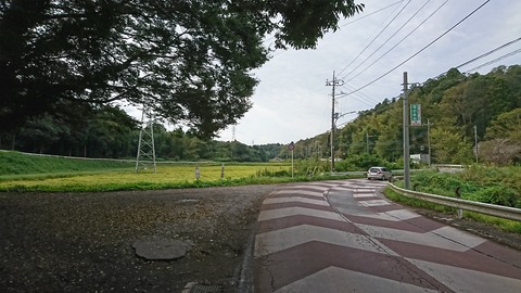 DSC_4100