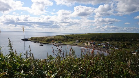 DSC_4311 (1)