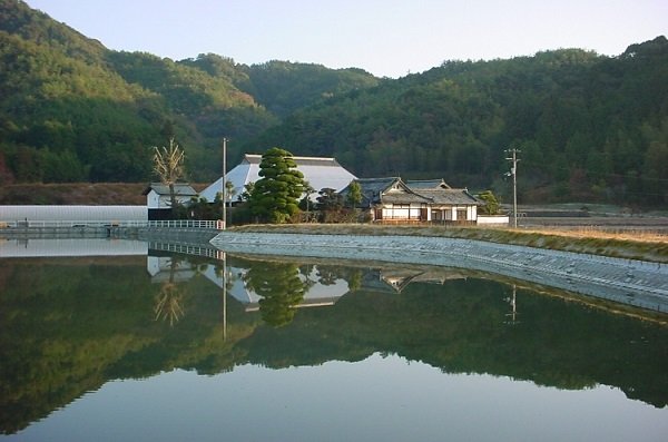 ikekara2