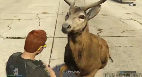gta5Fish4