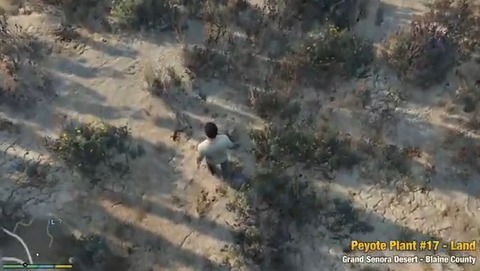 peyote39