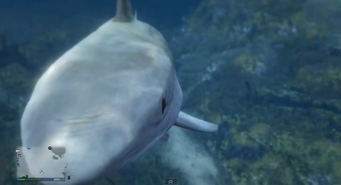 gta5shark2