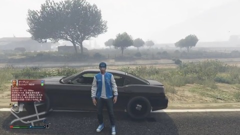 gta5fb11