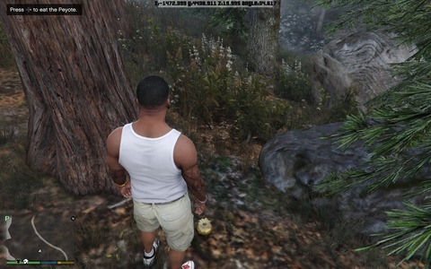 gta5bigfoot31