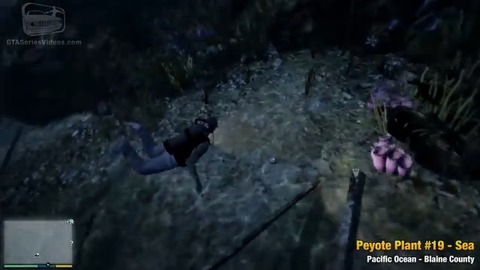 peyote43