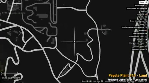 peyote34