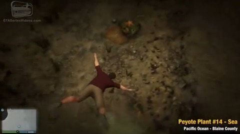 peyote33