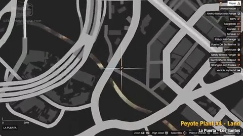 peyote11