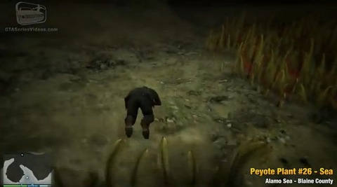 peyote57