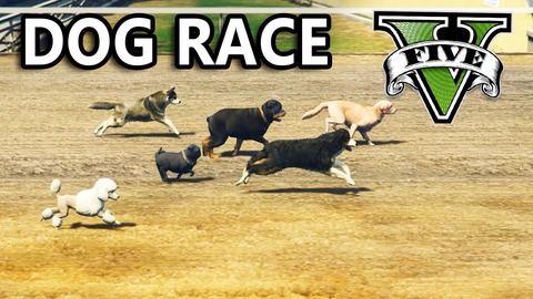 gta5dog2