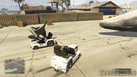 gta5Fish8