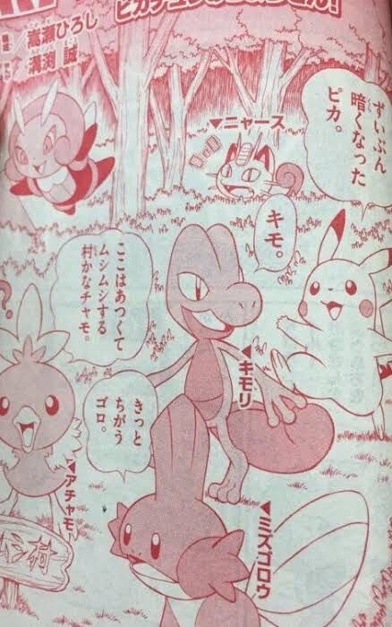 バシャーモ 炎 格闘やで ラグラージ ワイは水 地面 えすえすゲー速報