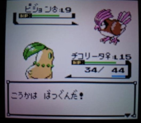 ポケモン えすえすゲー速報 ポケモン えすえすゲー速報
