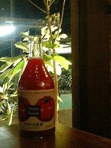 サントリー トマトのお酒