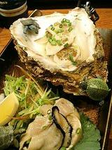 うまら岩がきお刺身