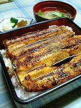 うな重(特)3000円