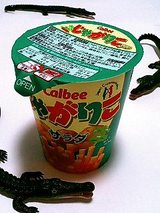 ¤¸¤ã¤¬¤ê¤³¡¡¥µ¥é¥À