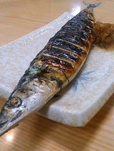 サンマ塩焼き(480円)