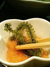 みちのく 海ぶどう 380円