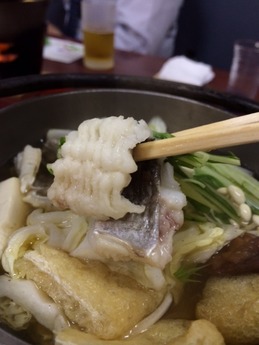 どい寿司 はも鍋 (1)