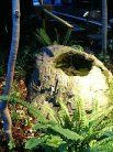 ええやん