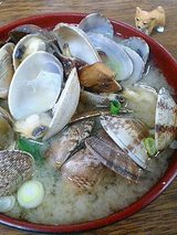 アサリ多っ!なんぼほど入っとんねん!