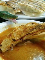 赤萬 ぎょうざ(1人前280円)