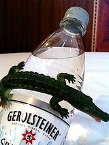 ゲロルシュタイナー