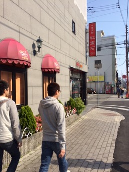 コウホウセキ 外観