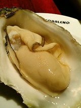 ARCOBALENO Annex OYSTER BAR お塩で