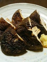 みちのく 椎茸