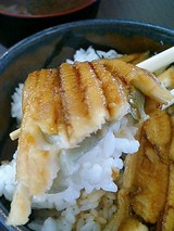 ���츫�Ƥ��������衪