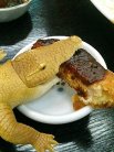 ワニは味噌カツが好きなようです。