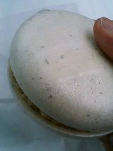 シャーリーバァー 明石産あなごもか198円