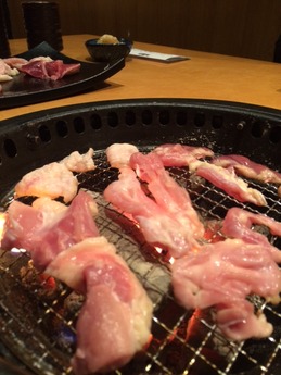 鳥奉行富田林 (14)