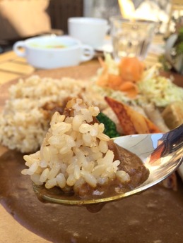 さくらす 焼き野菜のカレー 1050円 (1)