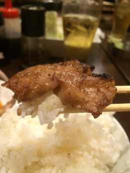 ひなどり (11)