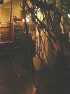 cafe plus 店内