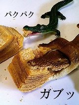 パクパク ガブッ