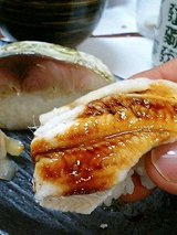 どい寿し 鯖寿司と蒸し穴子