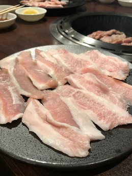 大ホル (6)