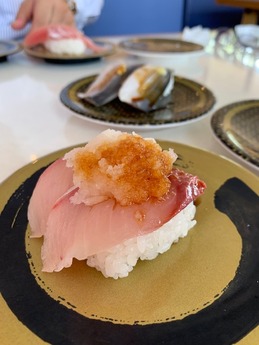 はま寿司 (5)