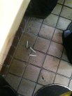 タバコは足元へ捨てるのが新生軒流。