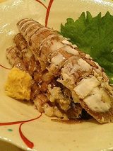 三河湾のシャコ