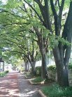鶴舞公園