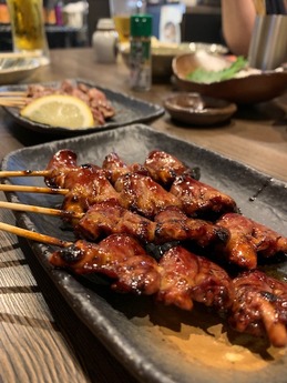 鳥ひろ (7)