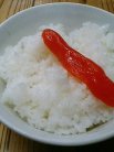 博多とんこつ 天神旗
