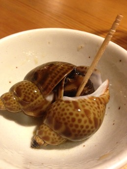 ひゃくたろう 貝