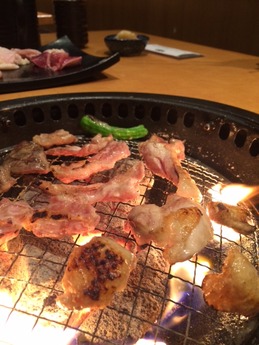 鳥奉行富田林 (15)