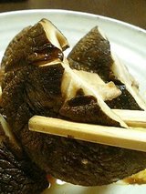 みちのく 椎茸2